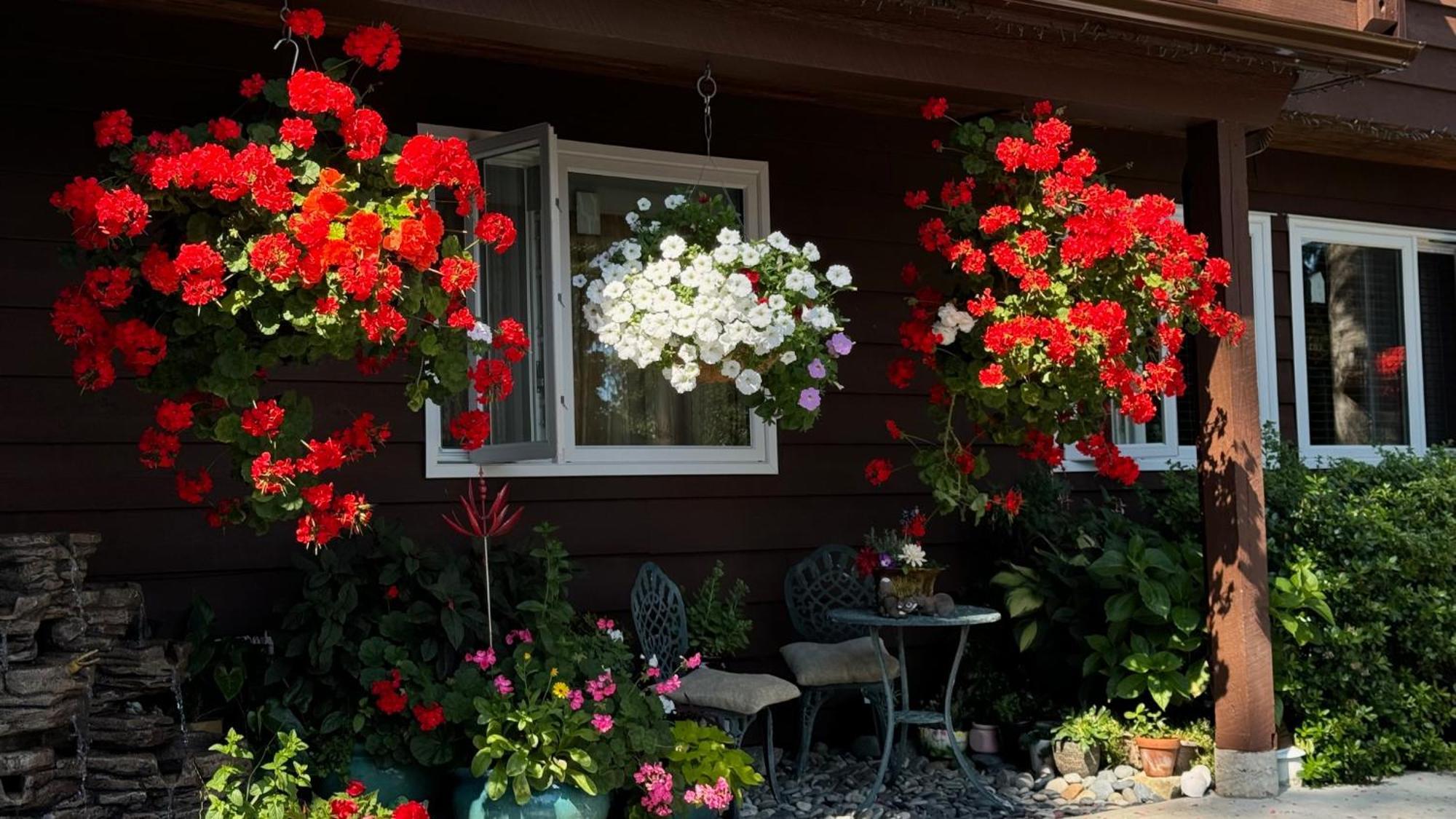Garden Bridge House Villa Sechelt Exterior foto